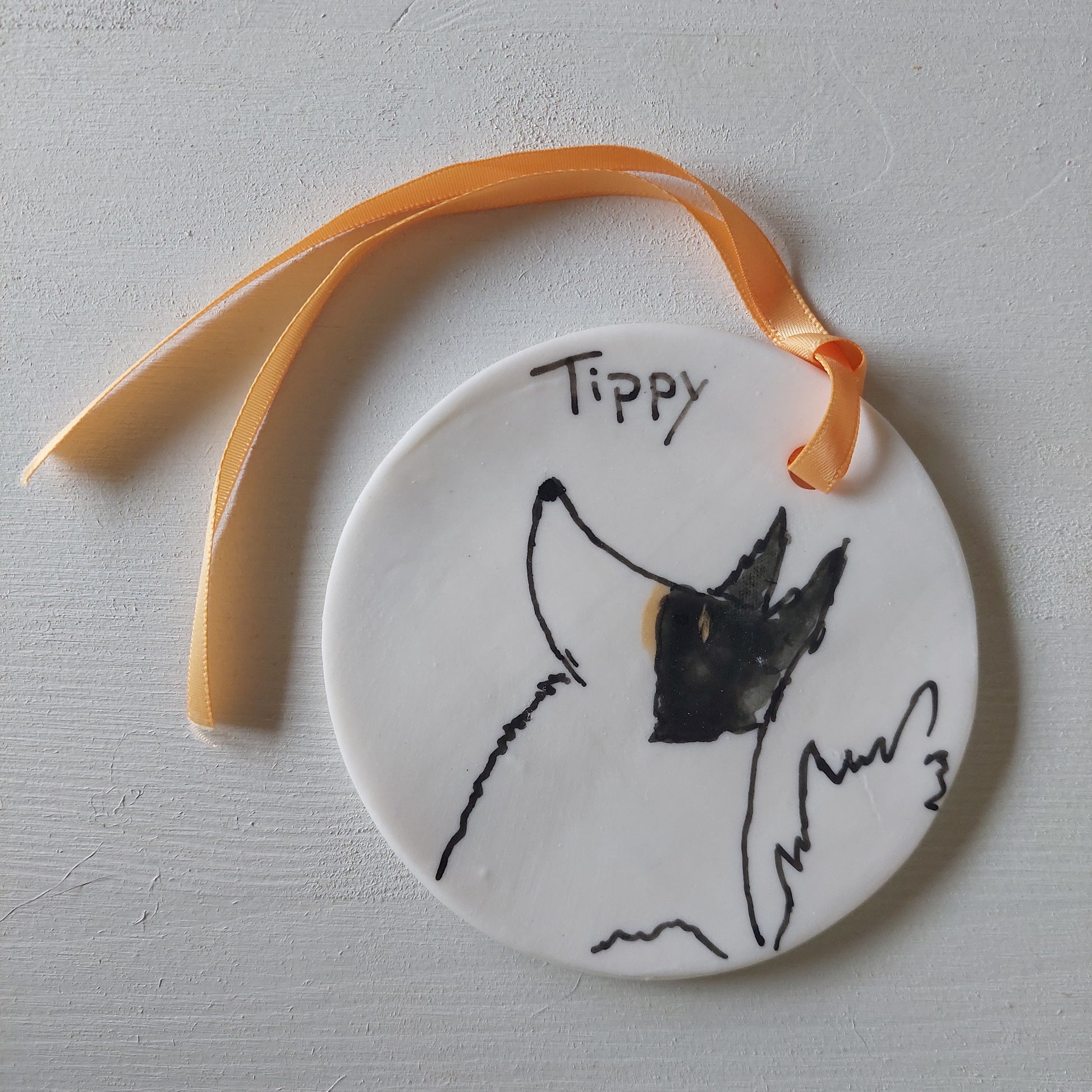 Pet Portraits - Christmas orders open now