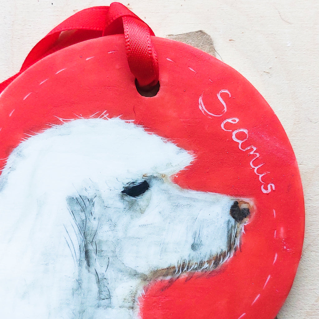 Illustrated Christmas Disc