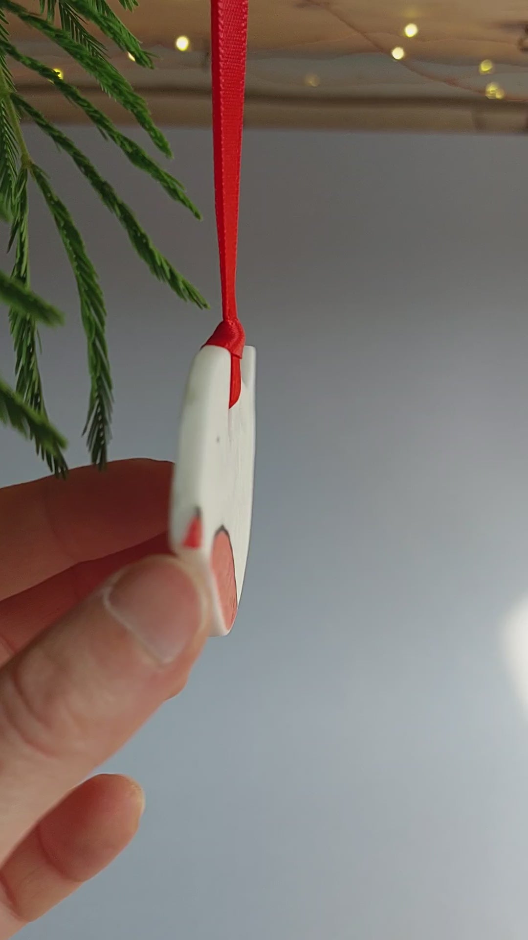 Robin Ornaments